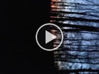 VID 20161231 164637