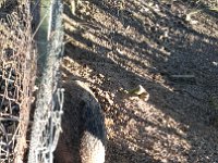 IMG 20161231 111907