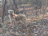 IMG 20161231 123301