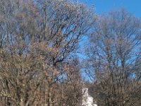 IMG 20161231 132003