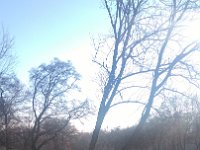 IMG 20161231 132114