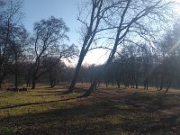 IMG 20161231 132122