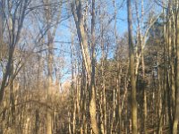 IMG 20161231 132942