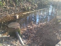 IMG 20161231 133216
