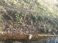 IMG 20161231 133221