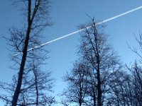 IMG 20161231 140037