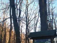 IMG 20161231 142503