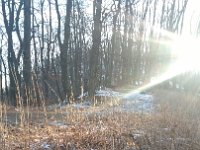 IMG 20161231 142653