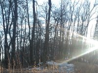 IMG 20161231 142655