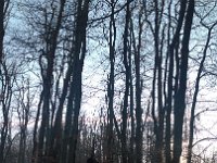 IMG 20161231 142916