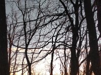 IMG 20161231 155216
