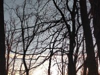 IMG 20161231 155224