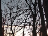 IMG 20161231 155226