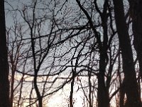 IMG 20161231 155227