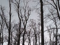 IMG 20161231 161239
