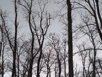 IMG 20161231 161240