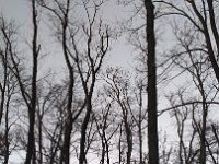IMG 20161231 161240 1
