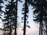 IMG 20161231 161934