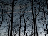 IMG 20161231 163954