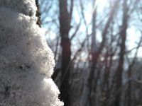 IMG 20170108 115016