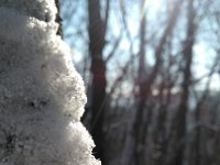 IMG 20170108 115018