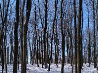 IMG 20170108 115429