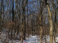 IMG 20170108 120020