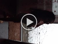 VID 20170130 114034