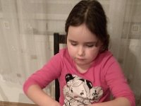 IMG 20170128 181732