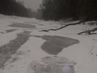 IMG 20170129 170451