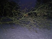 IMG 20170129 172343