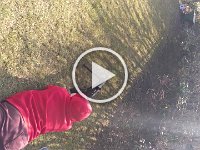 VID 20170312 095515