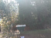 IMG 20170312 095106