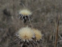 IMG 20170312 121014