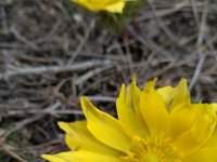 IMG 20170312 121054
