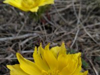 IMG 20170312 121055