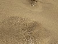 IMG 20170312 122350