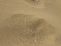 IMG 20170312 122356