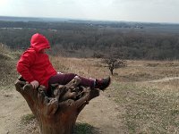 IMG 20170312 125111