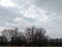 IMG 20170312 134131