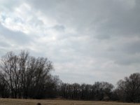 IMG 20170312 134133