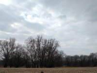 IMG 20170312 134143