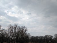 IMG 20170312 134145