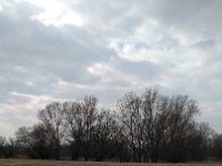 IMG 20170312 134148