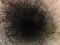 IMG 20170312 141458