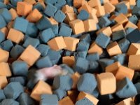 IMG 20170319 142149