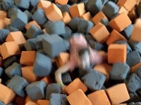 IMG 20170319 142703