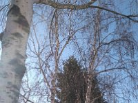 IMG 20170327 174240