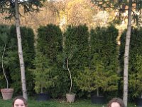 IMG 20170401 181755