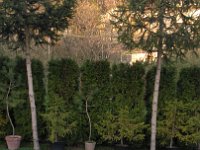 IMG 20170401 181802